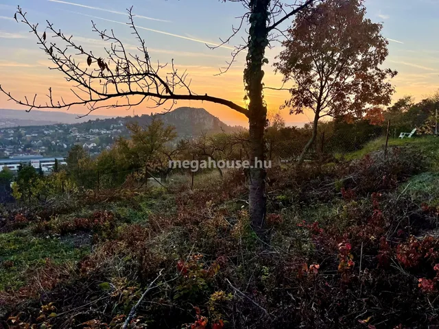 Eladó telek Budaörs 2290 nm