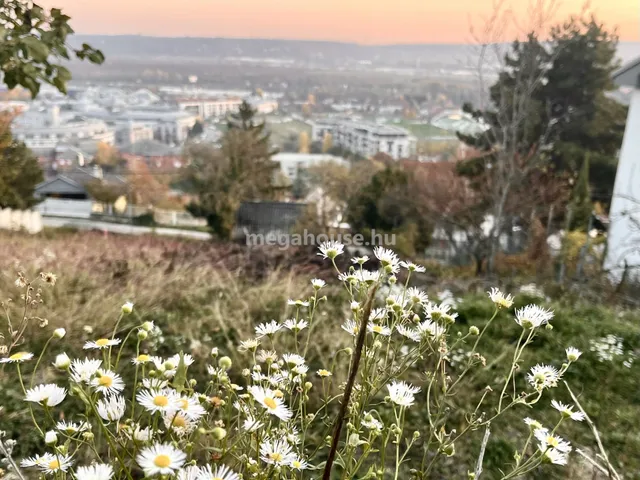 Eladó telek Budaörs 2292 nm