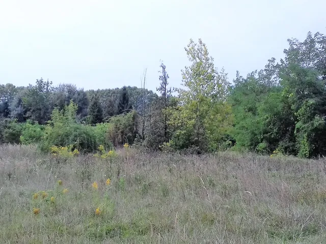 Eladó telek Szántód 953 nm