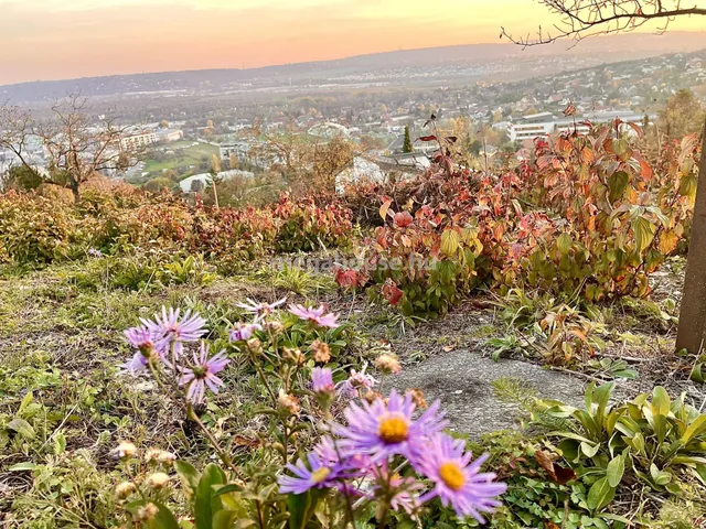 Eladó telek Budaörs 4800 nm