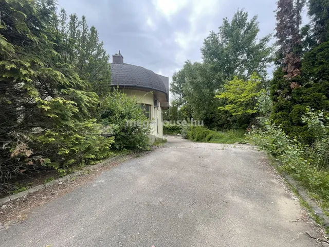 Eladó kereskedelmi és ipari ingatlan Dunaharaszti 11220 nm