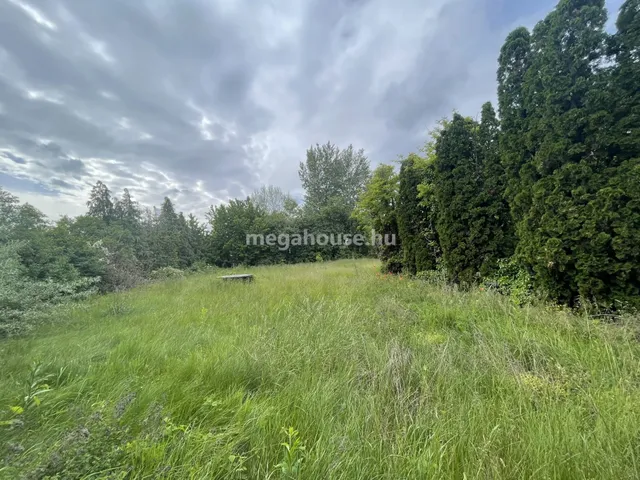 Eladó kereskedelmi és ipari ingatlan Dunaharaszti 5200 nm