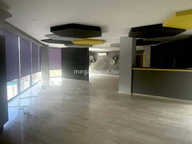 Kiadó kereskedelmi és ipari ingatlan Budapest XI. kerület 241 nm