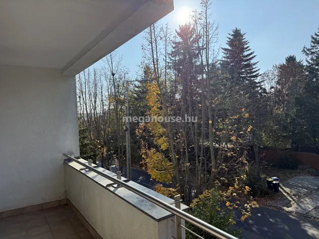 Eladó lakás Budapest II. kerület, Pálvölgy, Szépvölgyi út 110 nm