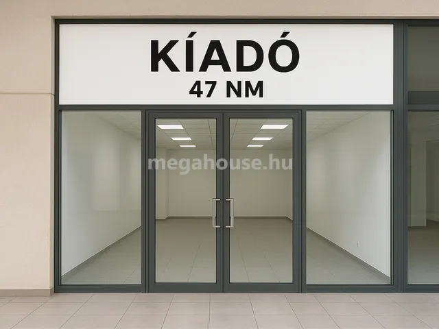 Kiadó kereskedelmi és ipari ingatlan Budaörs 47 nm