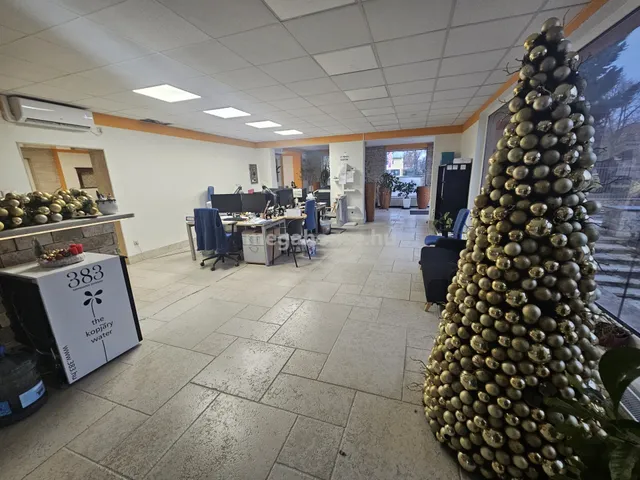 Eladó kereskedelmi és ipari ingatlan Szigetszentmiklós 2100 nm