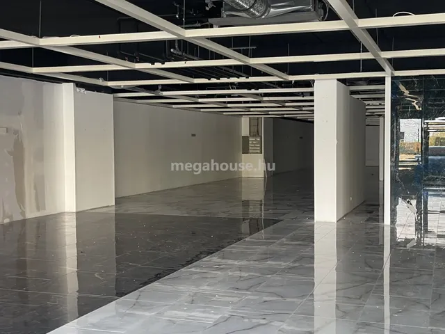 Kiadó kereskedelmi és ipari ingatlan Budaörs 535 nm