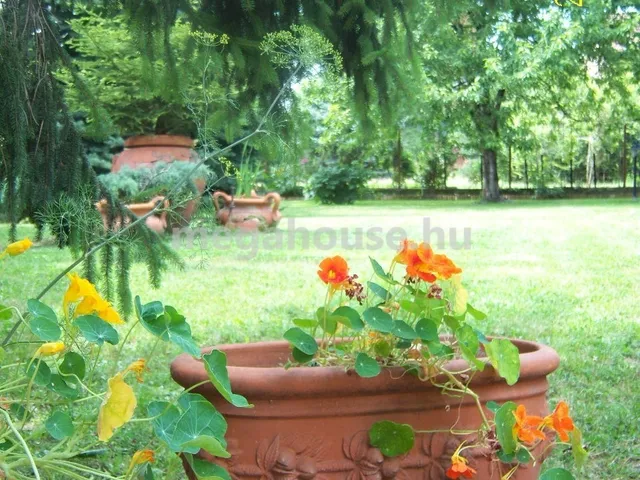 Eladó kereskedelmi és ipari ingatlan Budapest XI. kerület, Sasad-Sashegy XI. ker., Haraszt utca 700 nm