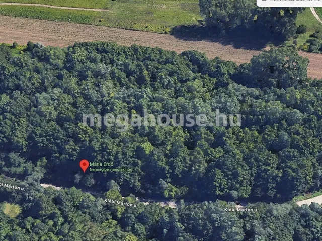 Eladó mezőgazdasági ingatlan Budapest XXIII. kerület, Soroksár 11920 nm