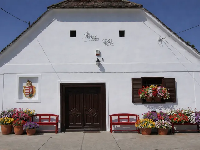 Eladó ház Szekszárd 240 nm