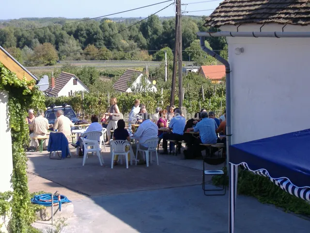 Eladó ház Szekszárd 240 nm