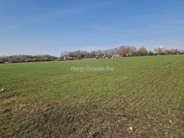 Eladó telek Tárnok 10000 nm