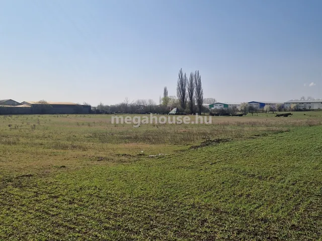 Eladó telek Tárnok 10000 nm