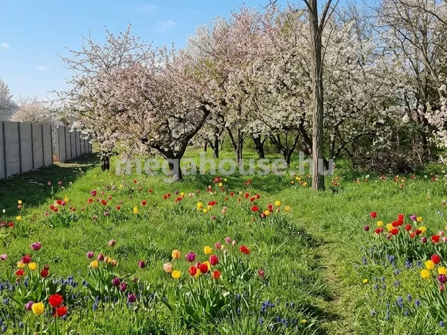 Eladó telek Érd 2266 nm