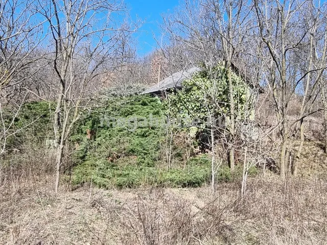 Eladó telek Biatorbágy 2614 nm