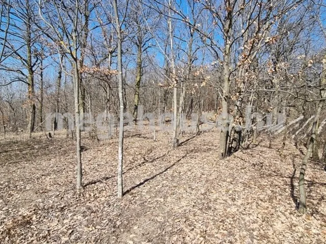 Eladó telek Biatorbágy 1848 nm