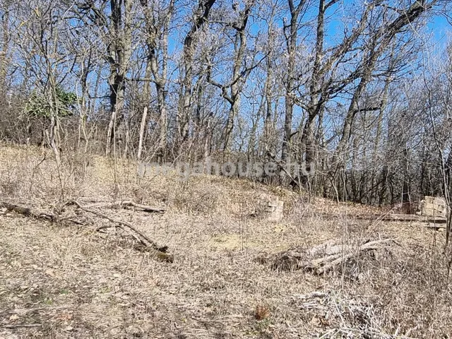 Eladó telek Biatorbágy 833 nm