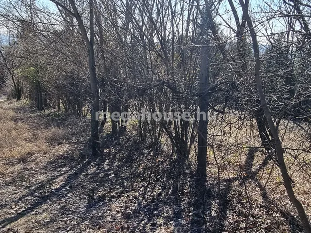 Eladó telek Biatorbágy 833 nm