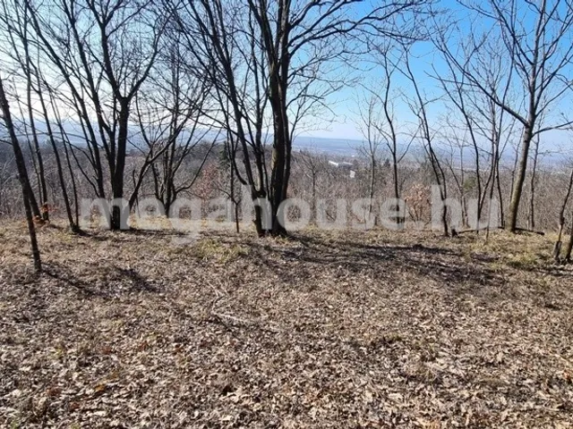 Eladó telek Biatorbágy 1015 nm