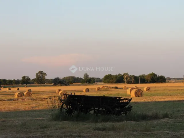 Eladó telek Balástya 150000 nm