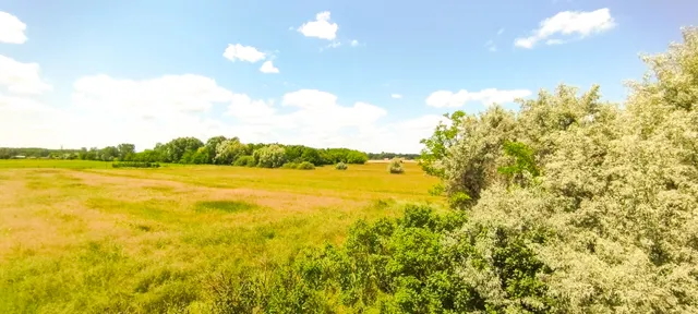 Eladó mezőgazdasági ingatlan Pusztaszer, Tanya 100 nm