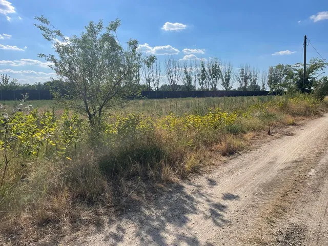 Eladó mezőgazdasági ingatlan Szeged 13055 nm