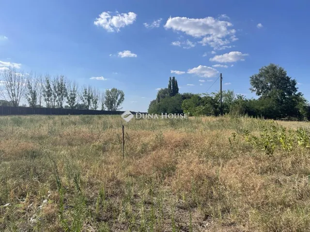 Eladó mezőgazdasági ingatlan Szeged 13055 nm