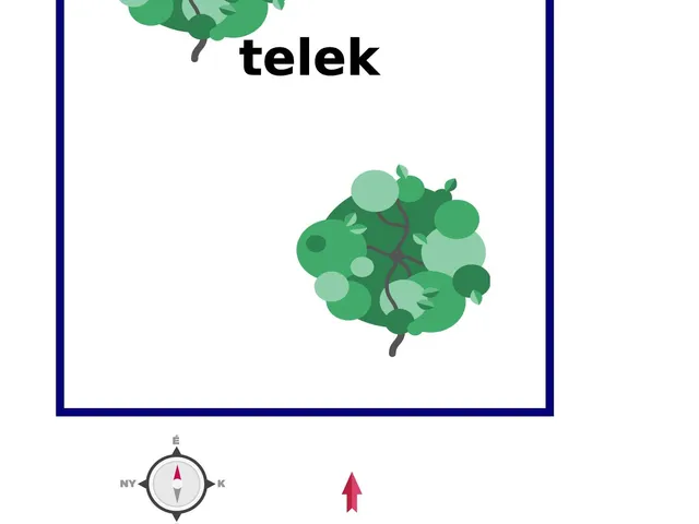 Eladó telek Hódmezővásárhely 1005 nm