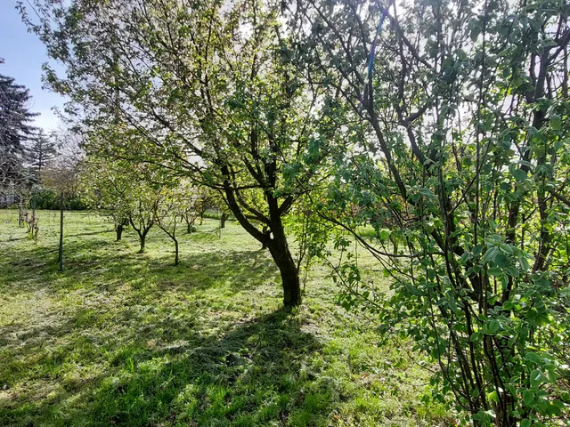 Eladó telek Szeged 845 nm