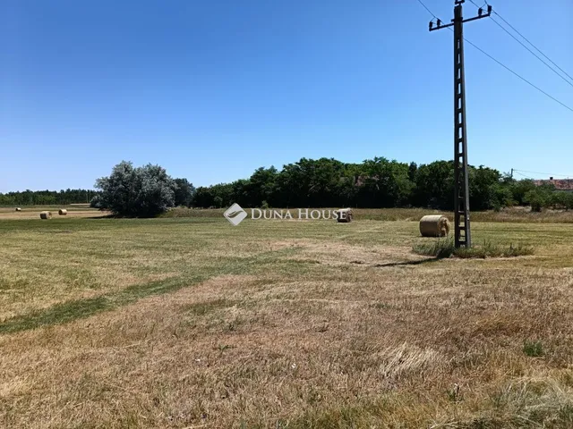 Eladó mezőgazdasági ingatlan Szeged, Bordányi út 45614 nm