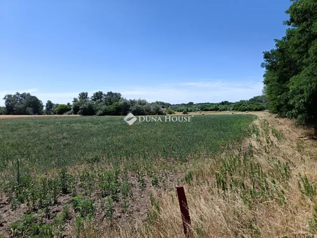 Eladó mezőgazdasági ingatlan Szeged, Bordányi út 45614 nm