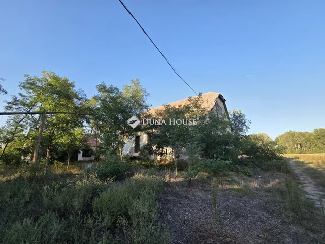 Eladó mezőgazdasági ingatlan Kistelek 172 nm