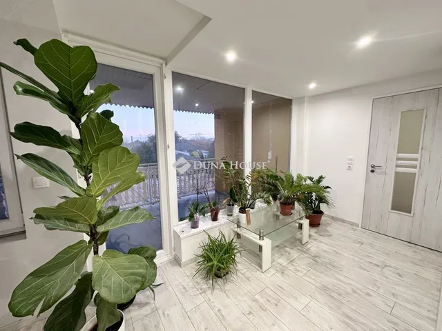 Eladó ház Hódmezővásárhely 189 nm