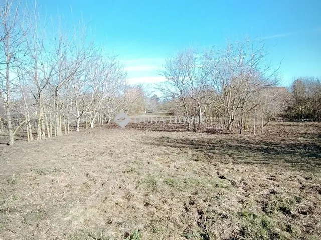 Eladó telek Hódmezővásárhely 3229 nm