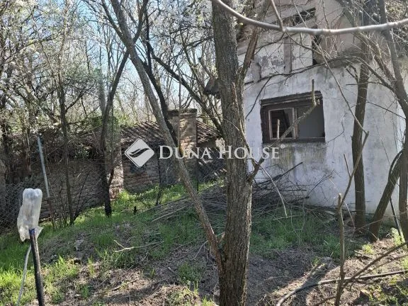 Eladó mezőgazdasági ingatlan Szeged 3443 nm