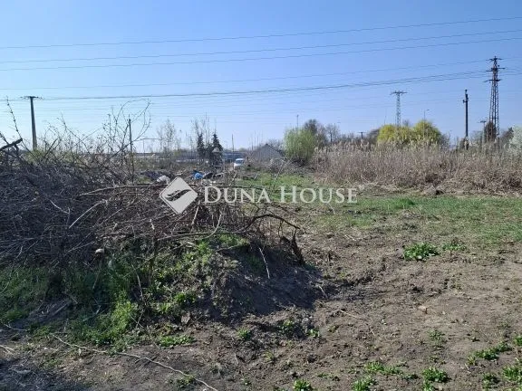 Eladó mezőgazdasági ingatlan Szeged, Zsámbokréti sor 3443 nm