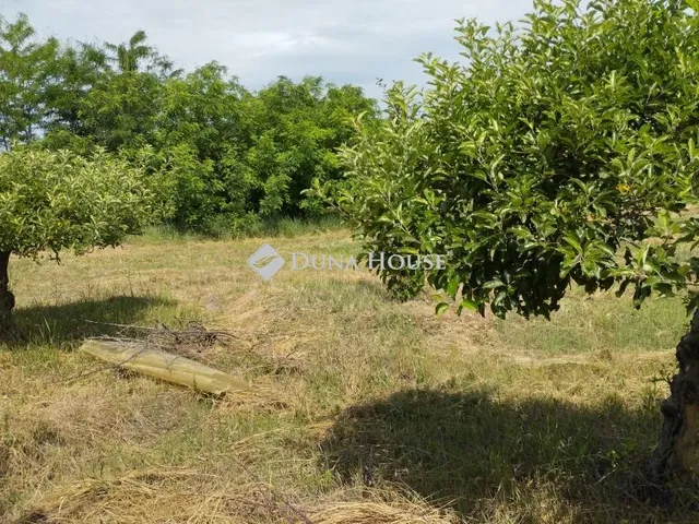 Eladó mezőgazdasági ingatlan Hódmezővásárhely 3531 nm