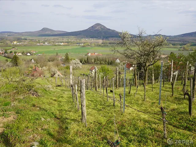 Eladó mezőgazdasági ingatlan Kisapáti 30 nm