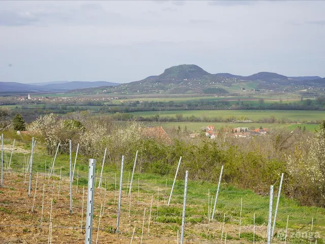 Eladó mezőgazdasági ingatlan Kisapáti 30 nm