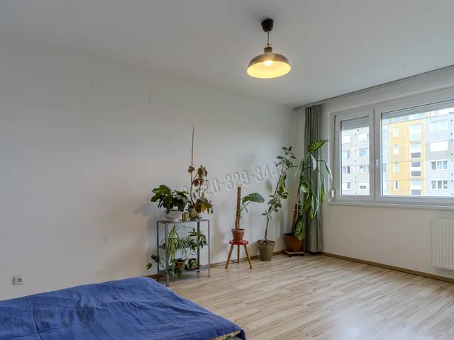 Eladó lakás Budapest XIX. kerület 59 nm