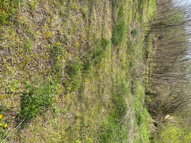 Eladó telek Zalabér 4973 nm