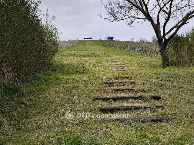 Eladó mezőgazdasági ingatlan Zalaszentgrót 2006 nm