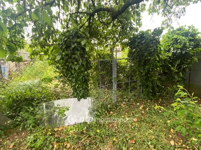 Eladó telek Zalaegerszeg 2317 nm