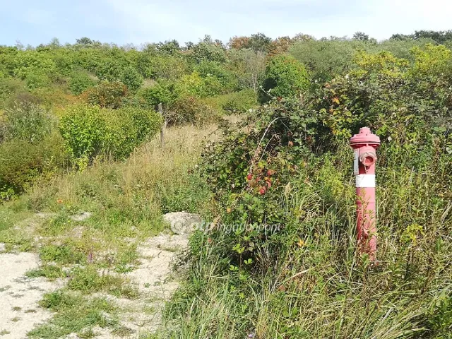 Eladó telek Cserszegtomaj 4991 nm