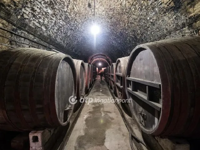 Eladó telek Badacsonytördemic 29503 nm