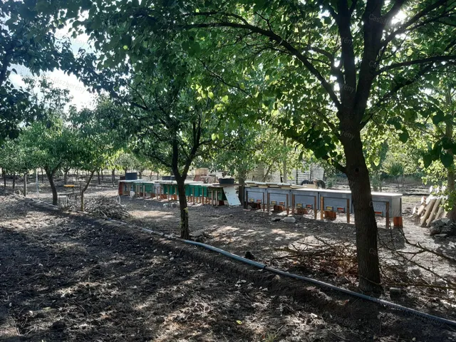 Eladó ház Jászdózsa 52 nm