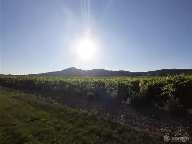 Eladó mezőgazdasági ingatlan Köveskál 9090 nm