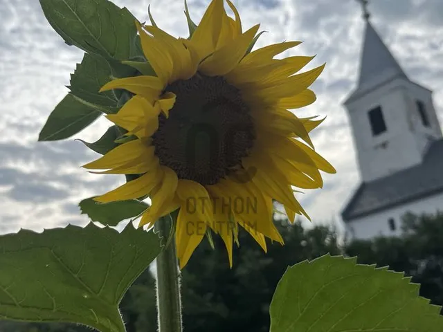 Eladó ház Pusztaszemes 130 nm