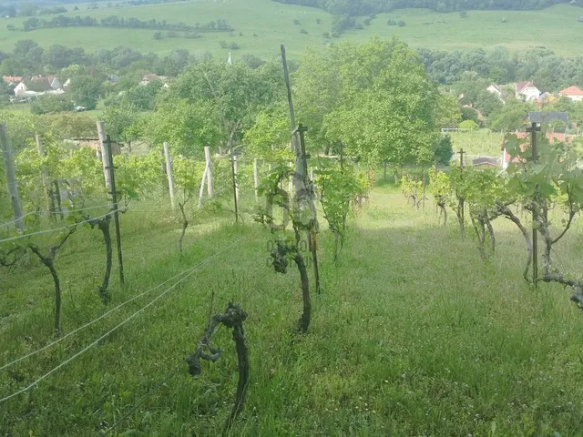 Eladó telek Kereki 839 nm