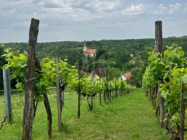 Eladó telek Bálványos 3946 nm